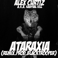 Ataraxia Remix 🌌(Prod. By Black Trooper)