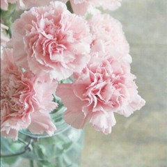 Scarborough Fair - Simon & Garfunkel (cover)(bilik kosong slimriver)