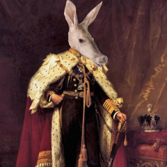 Aardvark King
