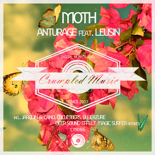 Anturage feat. Leusin - Moth (Deep Sound Effect Remix)