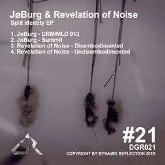 Revelation Of Noise - Undisembodimented