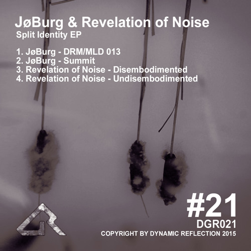 Revelation Of Noise - Disembodimented