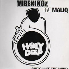 Holy Deep Vs Vibekingz ft Maliq - She's Like The Wind (HD Jus' for fun mix)FREE DOWNLOAD