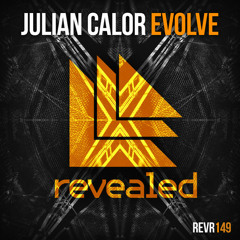 Julian Calor - Evolve ( RageJay re-edit)