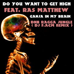 Cypress Hill feat Ras Matthew - Do You Want To Get High  vs Ganja In My Brain (DJ F.ACM DnB Remix)