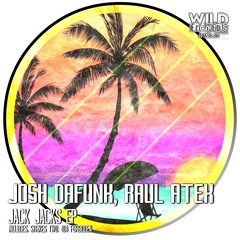 Josh Dafunk & Raul Atek - Strikes Two (Original Mix) [WILD28]