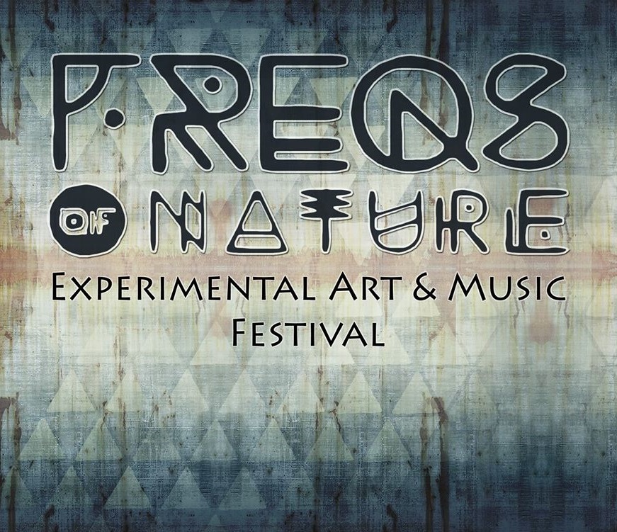 Freqs of Nature 2015 – Relaxperimental stage