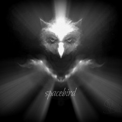 Spacebird