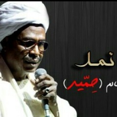 حميد/ محتاج لقلب يفرحني / نص مختلف وجميل