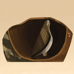 Milagro de agua y luz