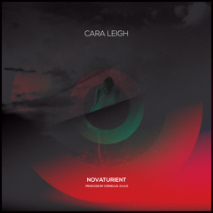 Cara Leigh - Toxic Sea (Produced by Cornelius Julius)