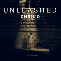 Chris'O - Unleashed (Original Mix)