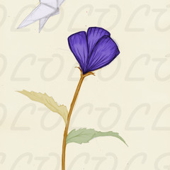 Umbreon You Have No Idea