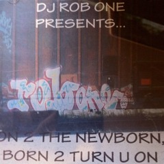 DJ Rob One- On 2 The Newborn, Born 2 Turn U On (1993)