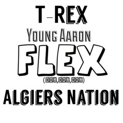 Flex Remix