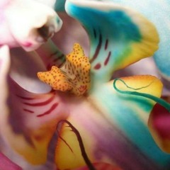 نقطه پایان گوگوش کاور