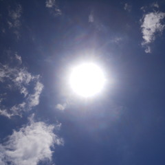 Neil young's __Harvest Moon__