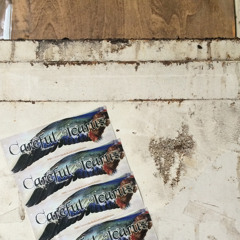 Careful Icarus - Take Me By Surprise