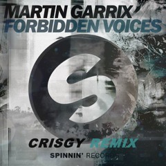 Forbidden Voices - Martin Garrix (DJ Leck Remix)