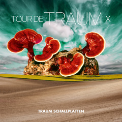 Filter Bear - Mosaic [TRAUM Schallplatten] | Tour De Traum X