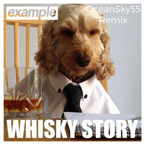 Example - Whiskey Story(Steve Ore Remix)