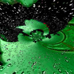 Rainy Morning Fantasia (with hanklebury)