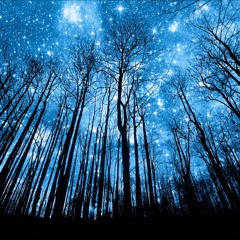 Under the night sky