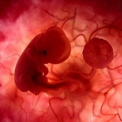 Back Baby (Jessica Pratt Cover)