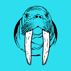 The Walrus - Eye In The Sky (Sample) Final