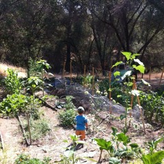 Episode 13 - Matt Powers speaking at A Place for Sustainable Living in Oakland, CA