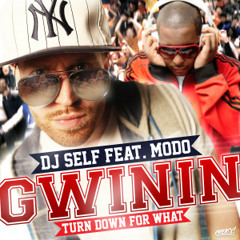Modo - Gwinin (Feat. DJ Self)