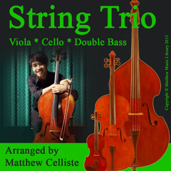 The Entertainer For Viola Cello & Double Bass