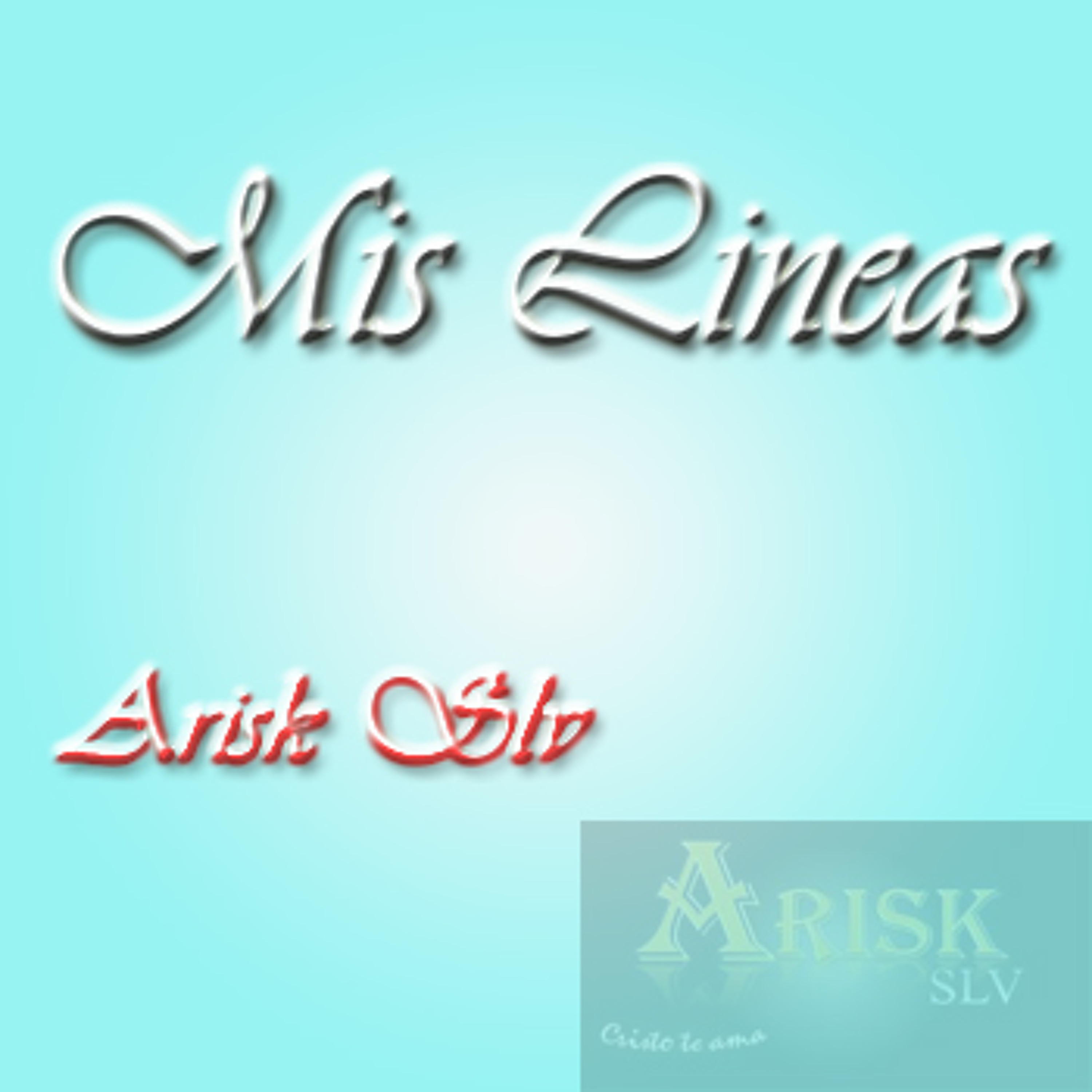 Arisk slv 503
