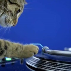 Somewhere In America, I Cant Lose! (Mark Ronson vs. Jay-Z vs. SandKat)