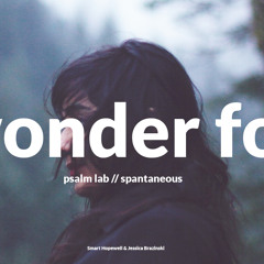 Psalm Lab - Wonder Fog Mix