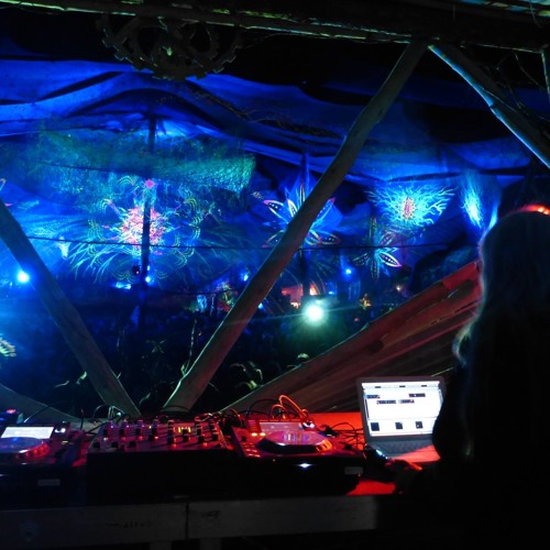 LIVE SET @ FREQS of NATURE 2015