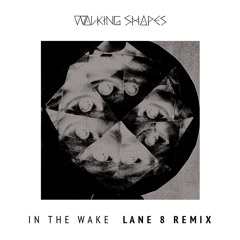 Walking Shapes - In The Wake (Lane 8 Remix)