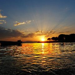 The Last Garden Live