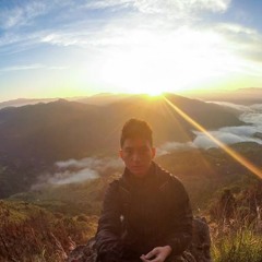 Boats And Birds In D (Instrumental)