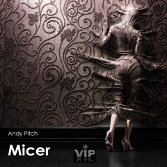 Micer (Original Mix)