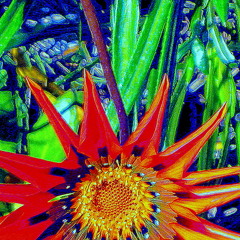 Atomic Krinkles - Bill Austin / Jeff Singh with CIAN