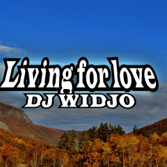 Madonna - Living For Love [Dj Widjo Remix]