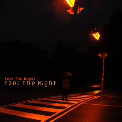 Feel The Night