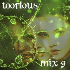 toortous mix nine