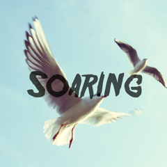 Soaring (Original Mix)