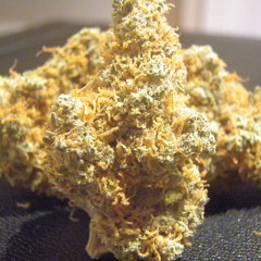 Potent