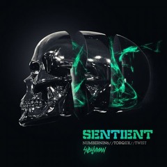 NumberNin6 vs Torqux & Twist - Sentient (P-CHOP Remix)