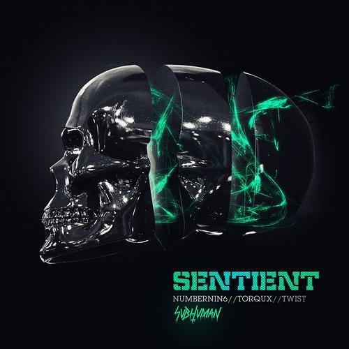 NumberNin6 vs Torqux & Twist - Sentient (P-CHOP Remix)