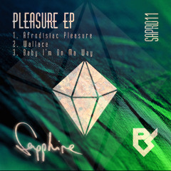 [SAPR011] Paul Stefenson - Wallace [Avail on Beatport]