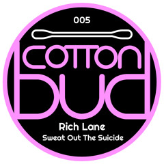 Rich Lane - Sweat Out The Suicide (Dub)
